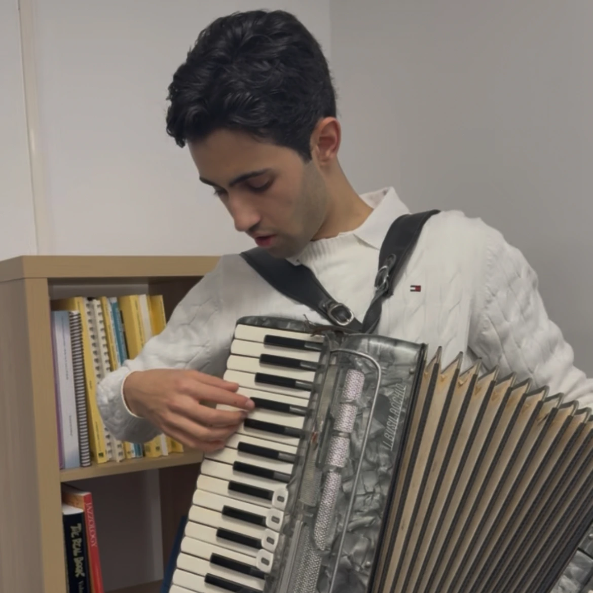 Piano accordion teacher